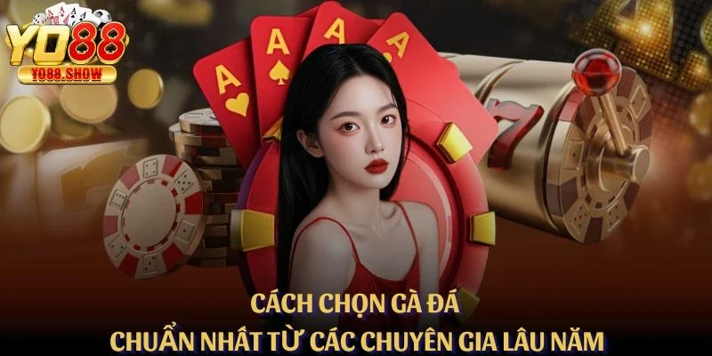 Cách Chọn Gà Đá Chuẩn Nhất Từ Các Chuyên Gia Lâu Năm